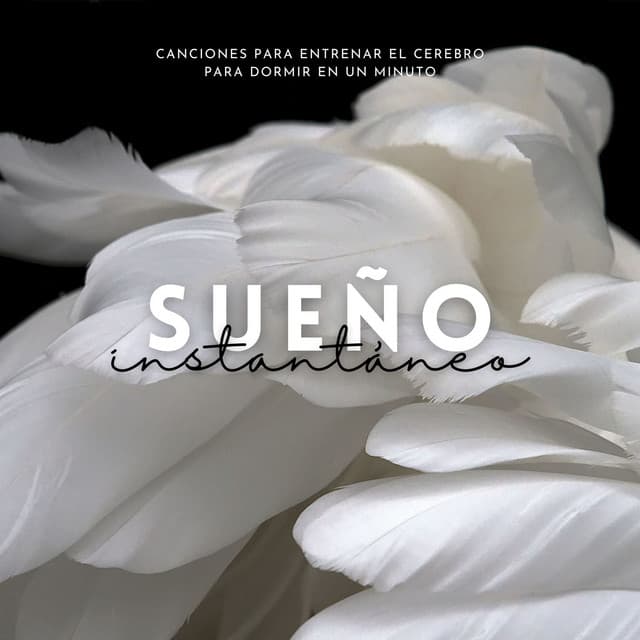 Sueño Instantáneo: Canciones para Entrenar el Cerebro para Dormir en un Minuto - Sueño Profundo
