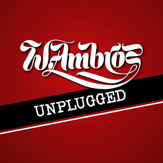 Unplugged - Wolfgang Ambros
