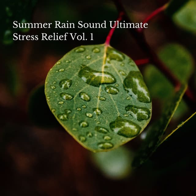 Summer Rain Sound Ultimate Stress Relief Vol. 1 - Relaxing Music for Stress Relief