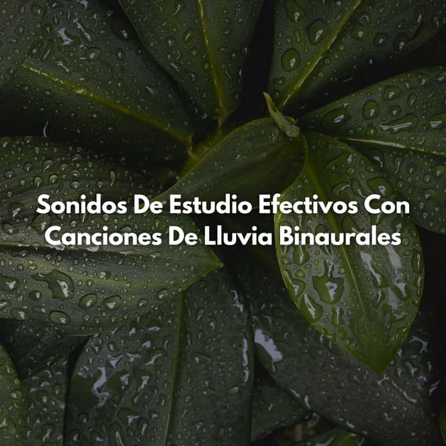 Sonidos De Estudio Efectivos Con Canciones De Lluvia Binaurales - Ritmos binaurales Estudiar música