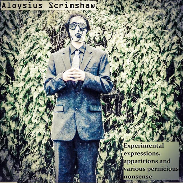 Experimental Expressions, Apparitions and Various Pernicious Nonsense - Aloysius Scrimshaw