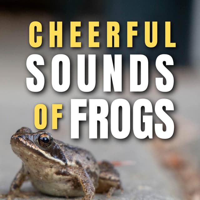 Cheerful Sounds of Frogs - Frog Sounds