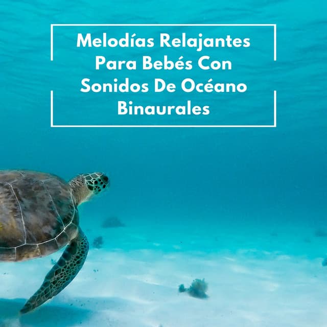 Melodías Relajantes Para Bebés Con Sonidos De Océano Binaurales - Binaurales Colectivo