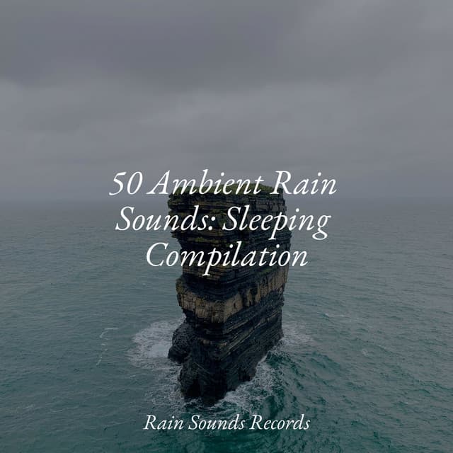 50 Ambient Rain Sounds: Sleeping Compilation - Ocean Waves For Sleep