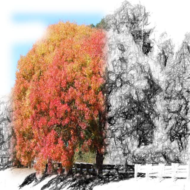 White Noise Spa Collection - 50 Shades of Ambience - Loopable Noise