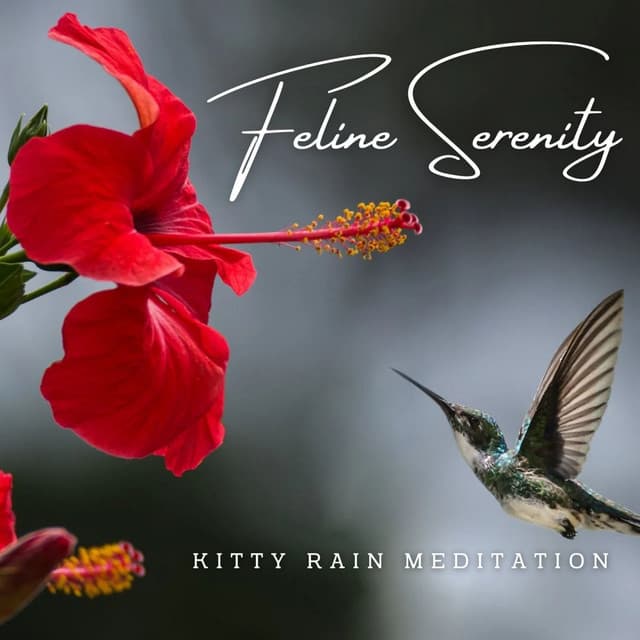 Feline Serenity: Rainfall Ambiance for Cats - Rainfall Meditations
