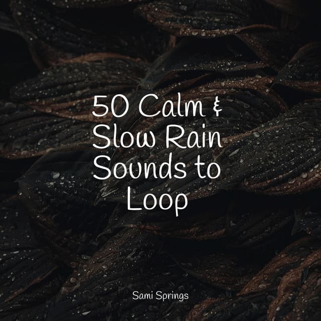50 Calm & Slow Rain Sounds to Loop - Brain Study Music Guys