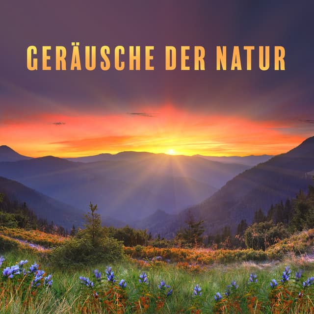 Geräusche der Natur: Tiefenentspannung Atmosphäre - Entspannungsmusik Welt