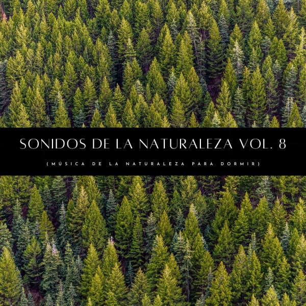 Sonidos De La Naturaleza Vol. 8 - Ruidos de la Selva