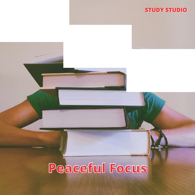 Peaceful Focus: Soothing Study Environment - Study Studio