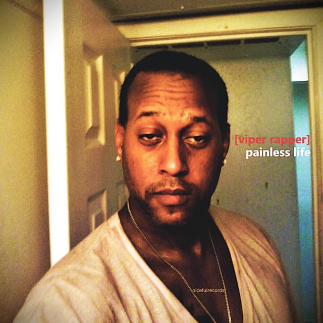 Painless Life - Viper