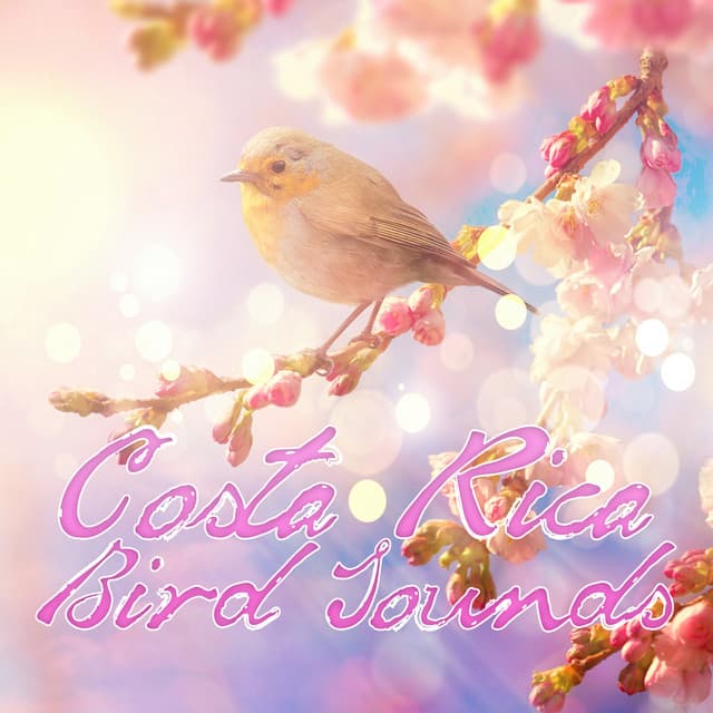 Bird Song Group