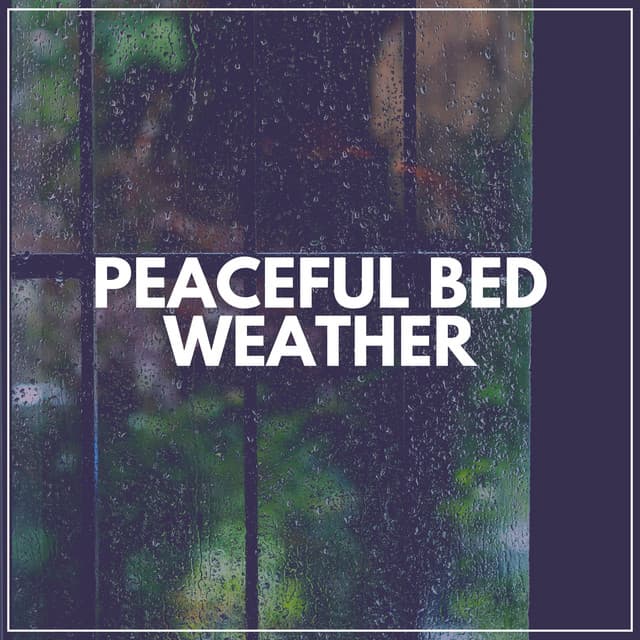 Peaceful Bed Weather - The Sound Of The Rain
