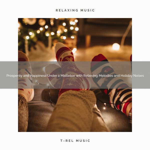 Prosperity and Happiness Under a Mistletoe with Relieving Melodies and Holiday Noises - Silent Night Sounds