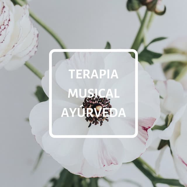 Terapia Musical Ayúrveda: Música para Técnicas de Relajación Mental y Corporal - Musica Para Dormir Profundamente