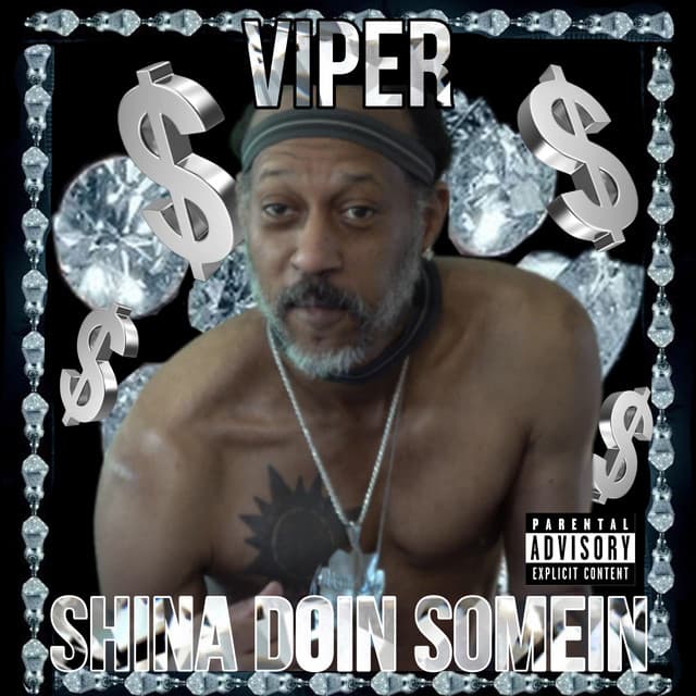 SHINA DOIN SOMEIN - Viper