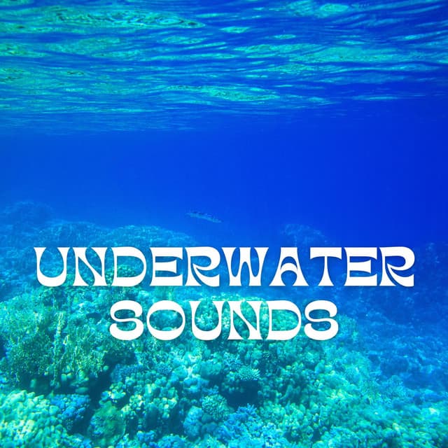 Underwater Sounds for Deep Relaxation - Underwater Sounds Channel