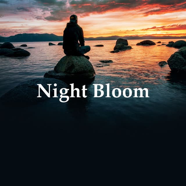 Night Bloom - Brown Noise