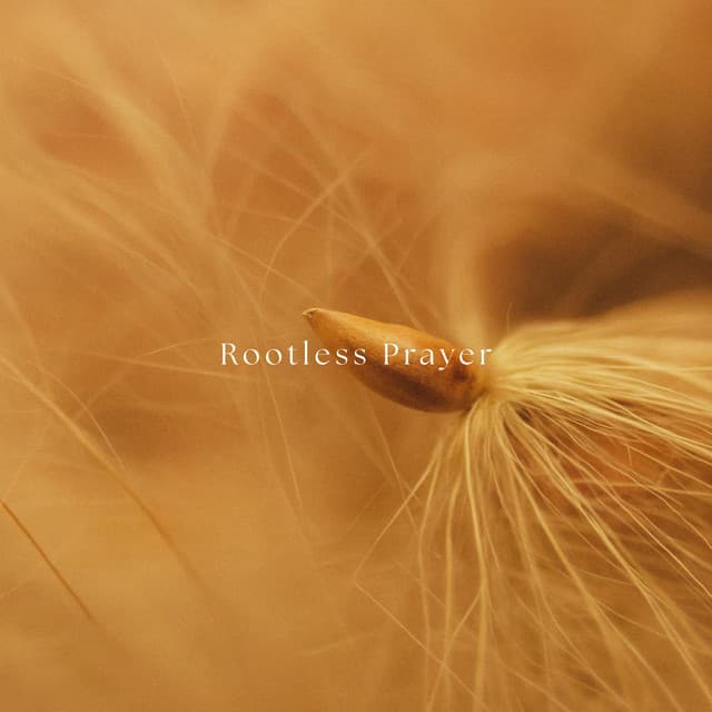 Rootless Prayer - Harmonic Prism Creator