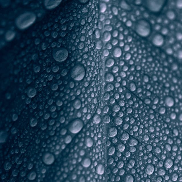 10 Rainy Nights: Sleep Therapy - Meditation Rain Sounds