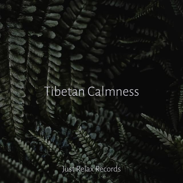 Tibetan Calmness - Study Hard