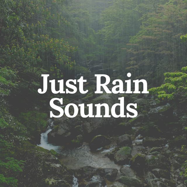 Just Rain Sounds - Rainfall