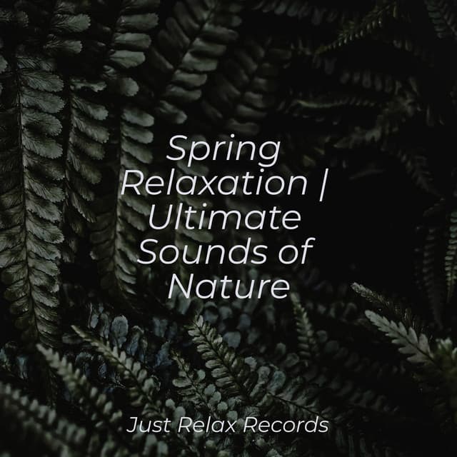 Spring Relaxation | Ultimate Sounds of Nature - Mantra para Dormir