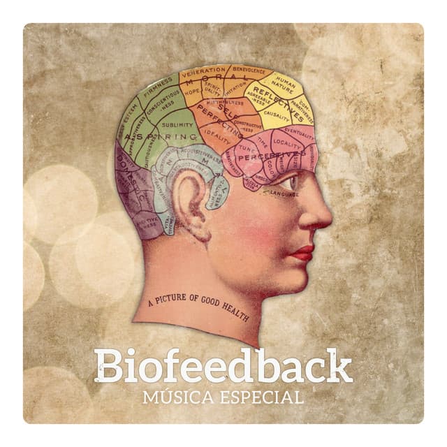 Biofeedback - Música Especial, Visualización Mental, Iniciación de Curación, Estimulación Interna, Control Consciente - Música Zen Relajante Conjunto