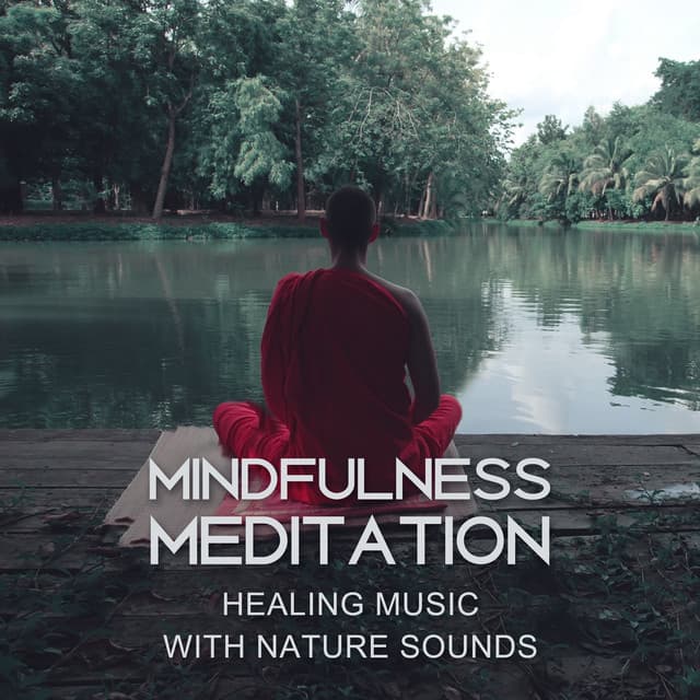Mindfulness Meditation – Healing Music with Nature Sounds for Serenity, Body and Mind Connection, Relaxing Energy - Harmony Nature Sounds Academy