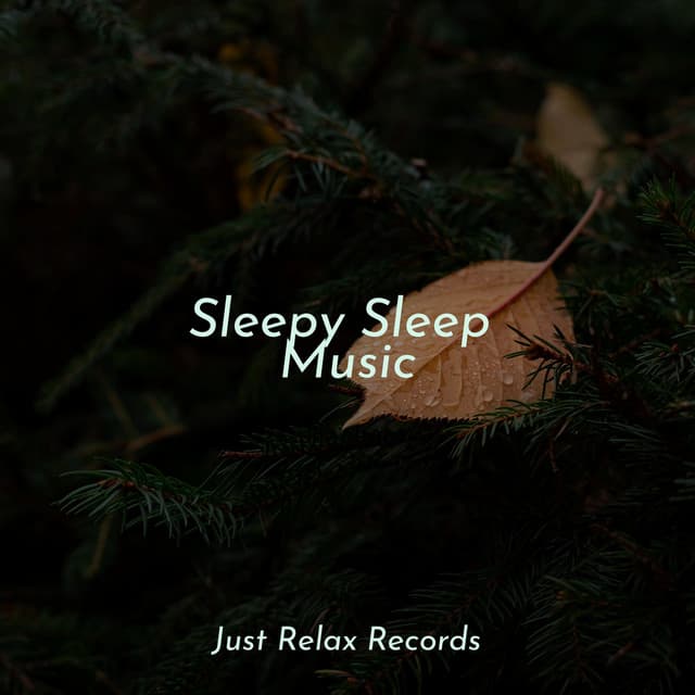 Sleepy Sleep Music - Calming Sounds
