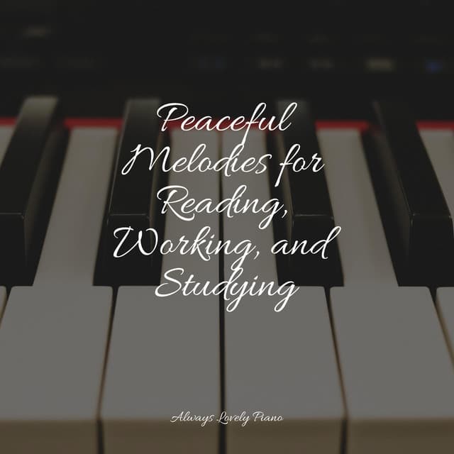 Soft Meditation Songs - Gentle Piano Music