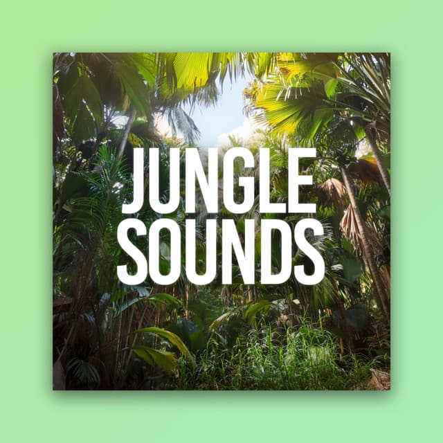 Jungle Sounds - Thunderstorms