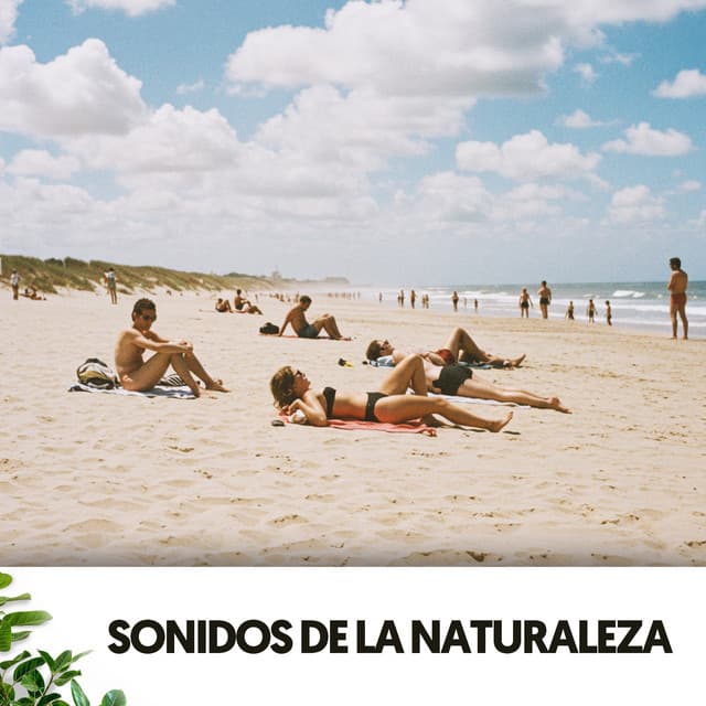 Sonidos de la Naturaleza: Serenata de las Olas - Dog Relaxation