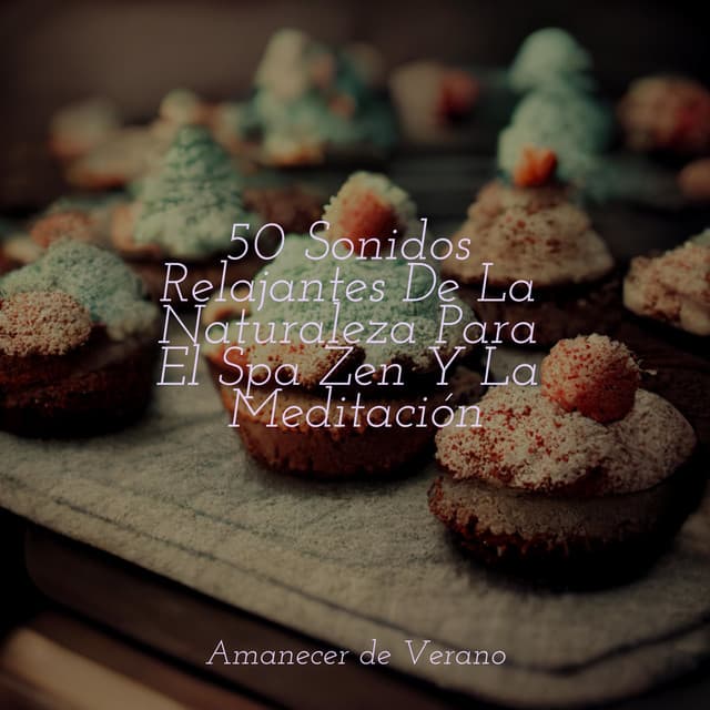 50 Sonidos Relajantes De La Naturaleza Para El Spa Zen Y La Meditación - Naturaleza Sonidos
