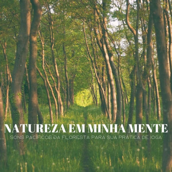 Natureza Em Minha Mente: Sons Pacíficos Da Floresta Para Sua Prática De Ioga - Ruido Blanco