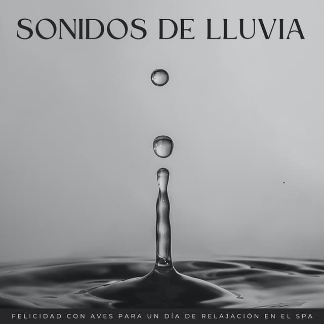 Sonidos De Lluvia: Felicidad Con Aves Para Un Día De Relajación En El Spa - Sonidos de lluvia y naturaleza