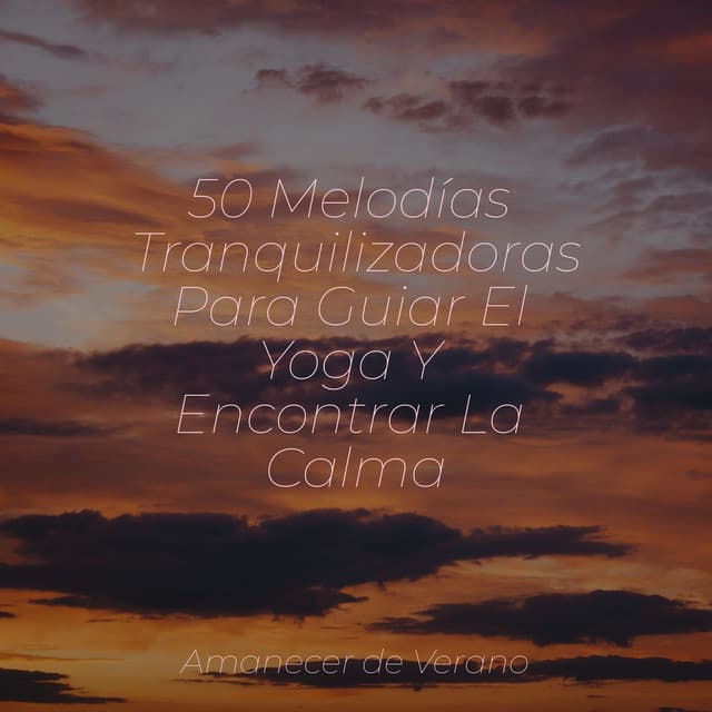 50 Melodías Tranquilizadoras Para Guiar El Yoga Y Encontrar La Calma - Canciones Infantiles de Niños