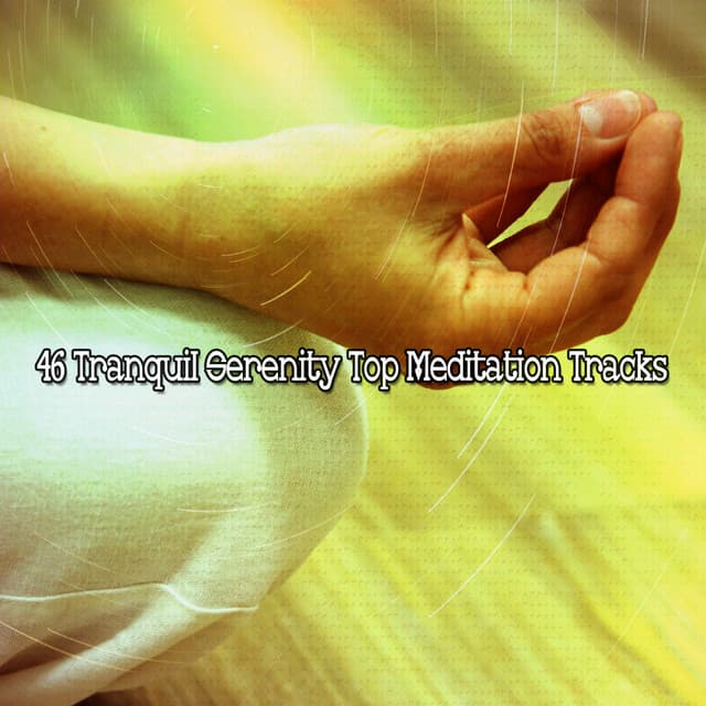 46 Tranquil Serenity Top Meditation Tracks - Yoga Music