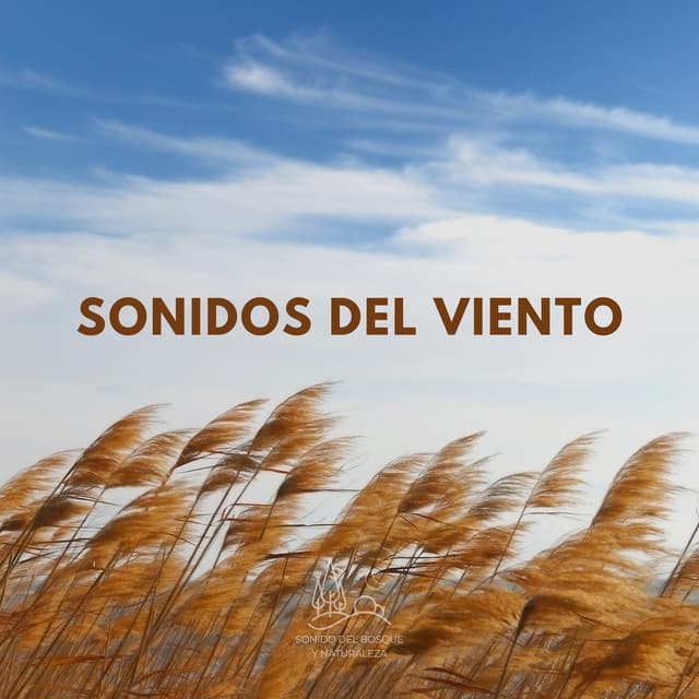 Sonidos del Viento - Sonido Del Bosque y Naturaleza