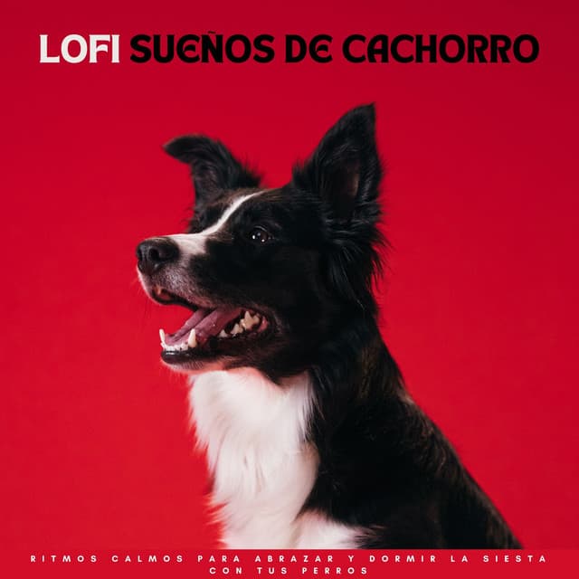 Lofi Sueños De Cachorros: Ritmos Calmos Para Abrazar Y Dormir La Siesta Con Tus Perros - Vibraciones lofi