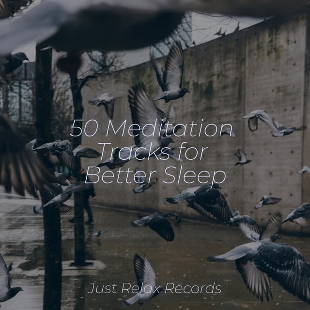 50 Meditation Tracks for Better Sleep - Drowsy Cloud