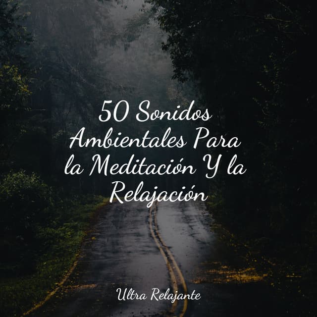 50 Sonidos Ambientales Para la Meditación Y la Relajación - Masaje Tantrico Musica Colección