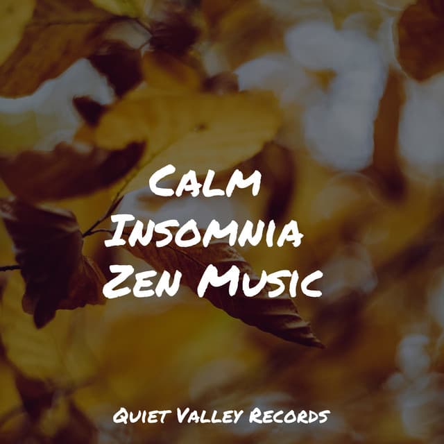 Calm Insomnia Zen Music - Calm Shores