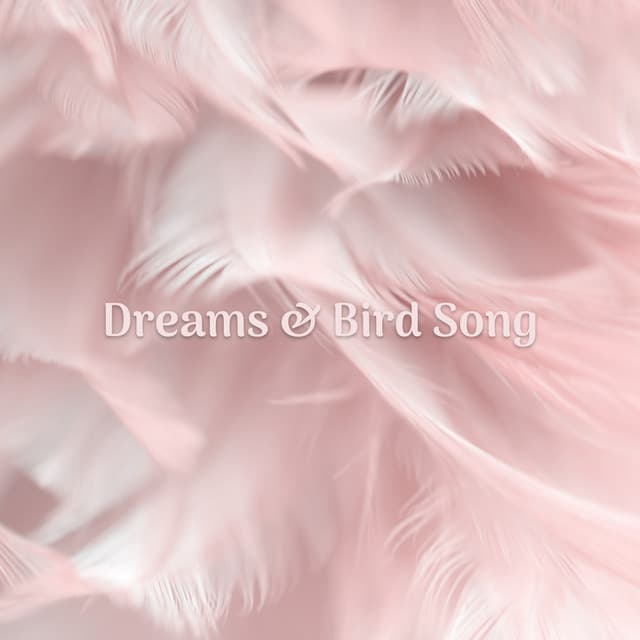 Dreamy Nature
