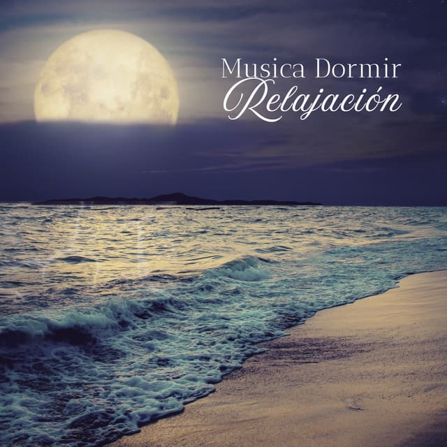 Musica Dormir Relajación - Lluvia Del Bosque