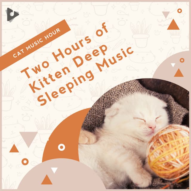 2 Hours of Kitten Deep Sleeping Music - Cat Music Hour