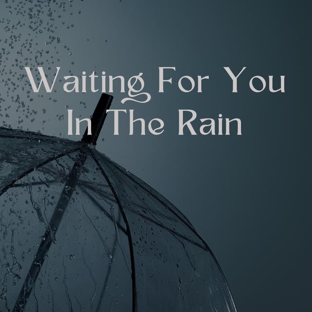 Waiting For You In The Rain - EnigmaLofi