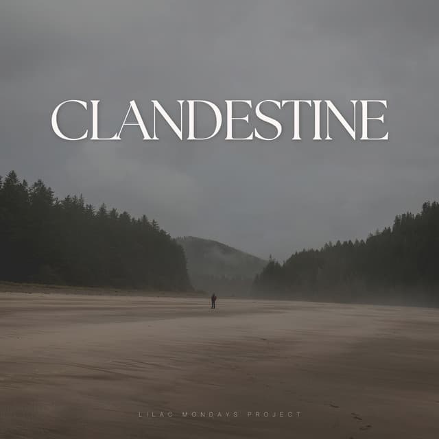 Clandestine - Soothing Music