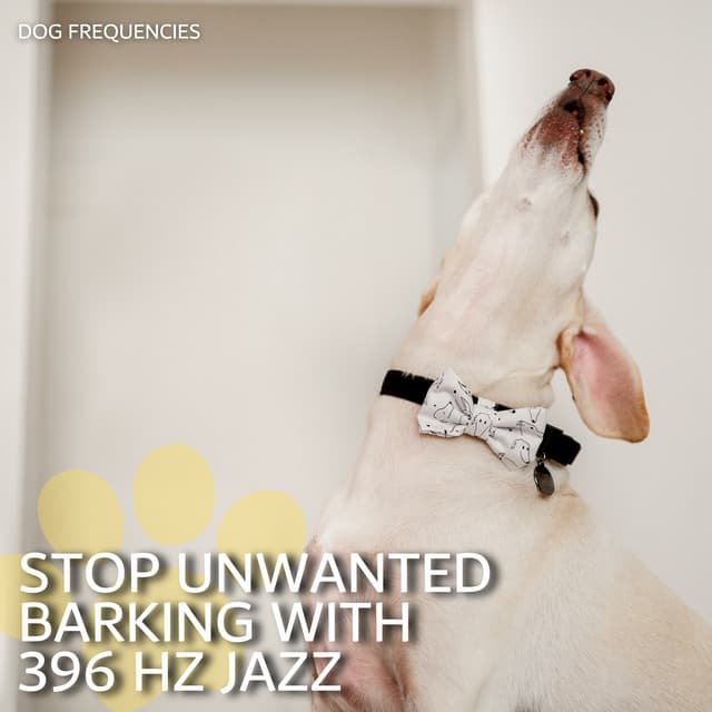 Stop Unwanted Barking with 396 Hz Jazz - Dog Frequencies