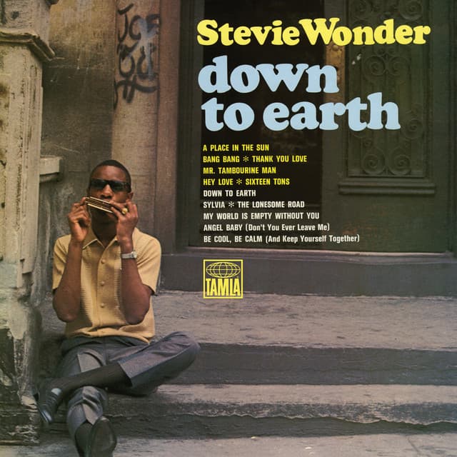 Down To Earth - Stevie Wonder